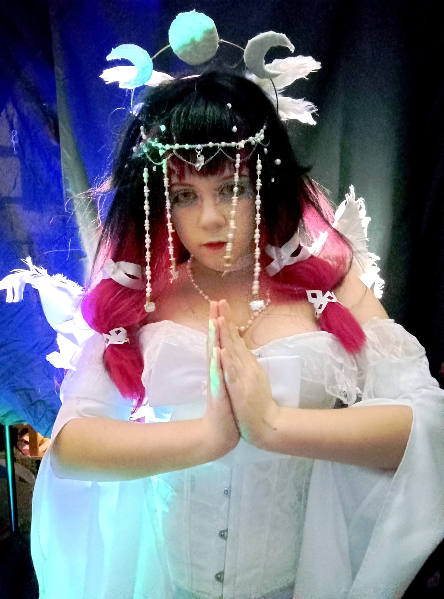 Columbina costest - Photo 6