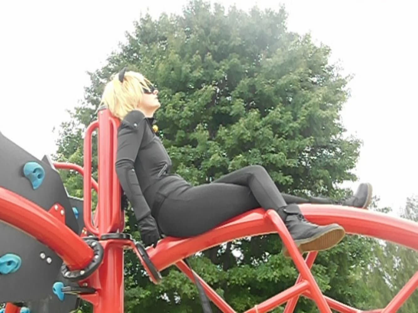 Chat Noir - Photo 26