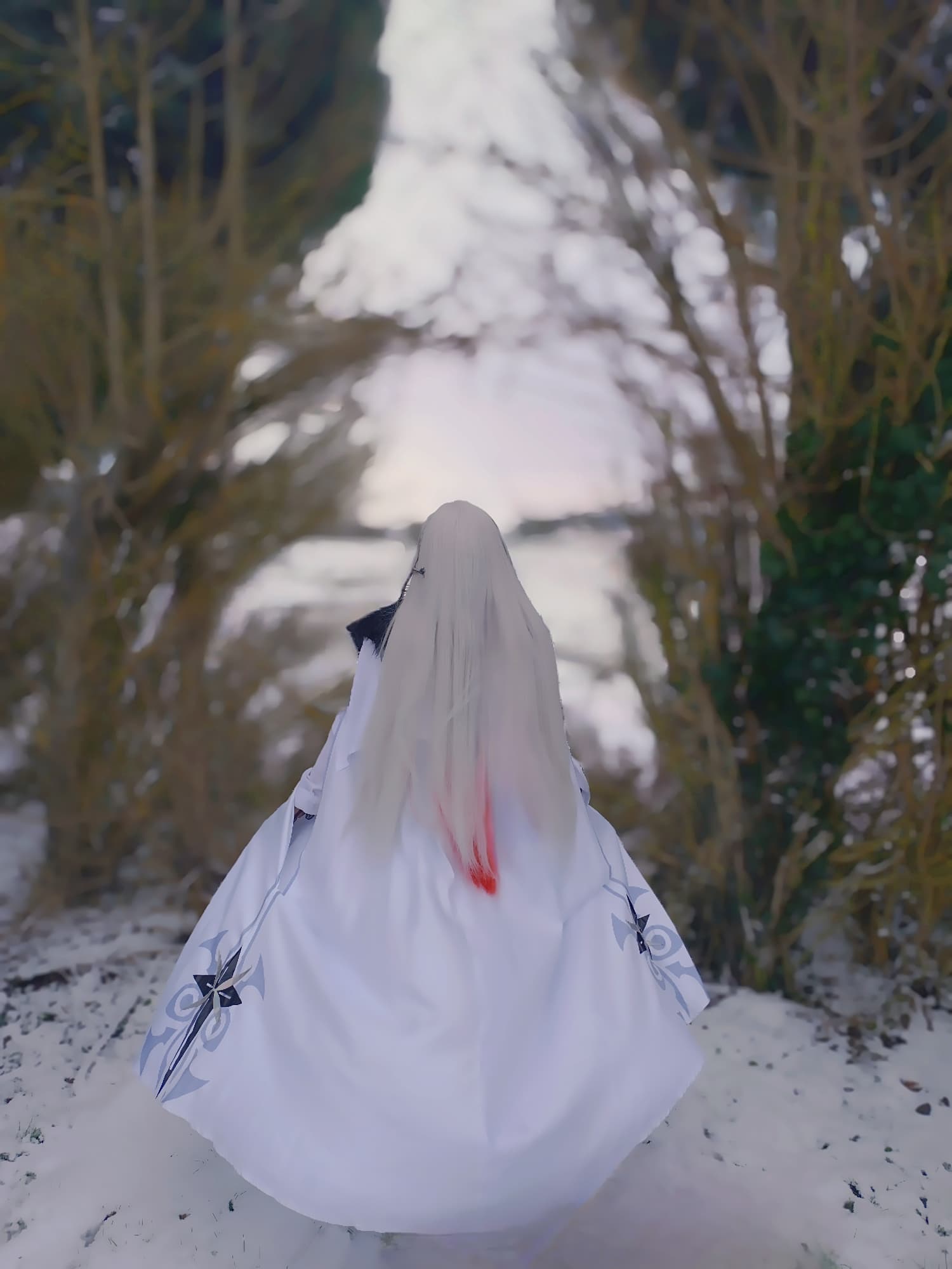 Arlecchino - Photo 8