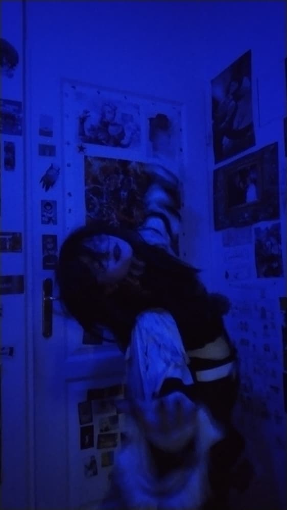 Laughing jack  - Photo 5