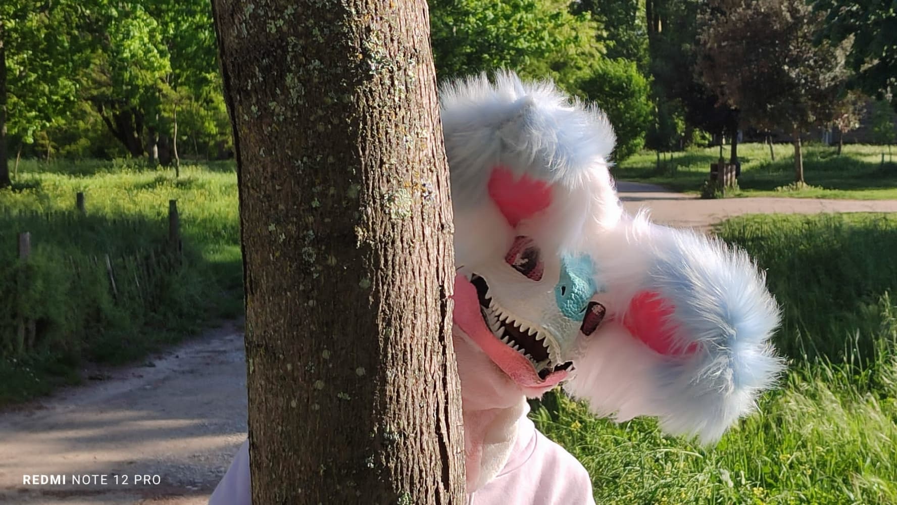 Debut du printemps  - Photo 32