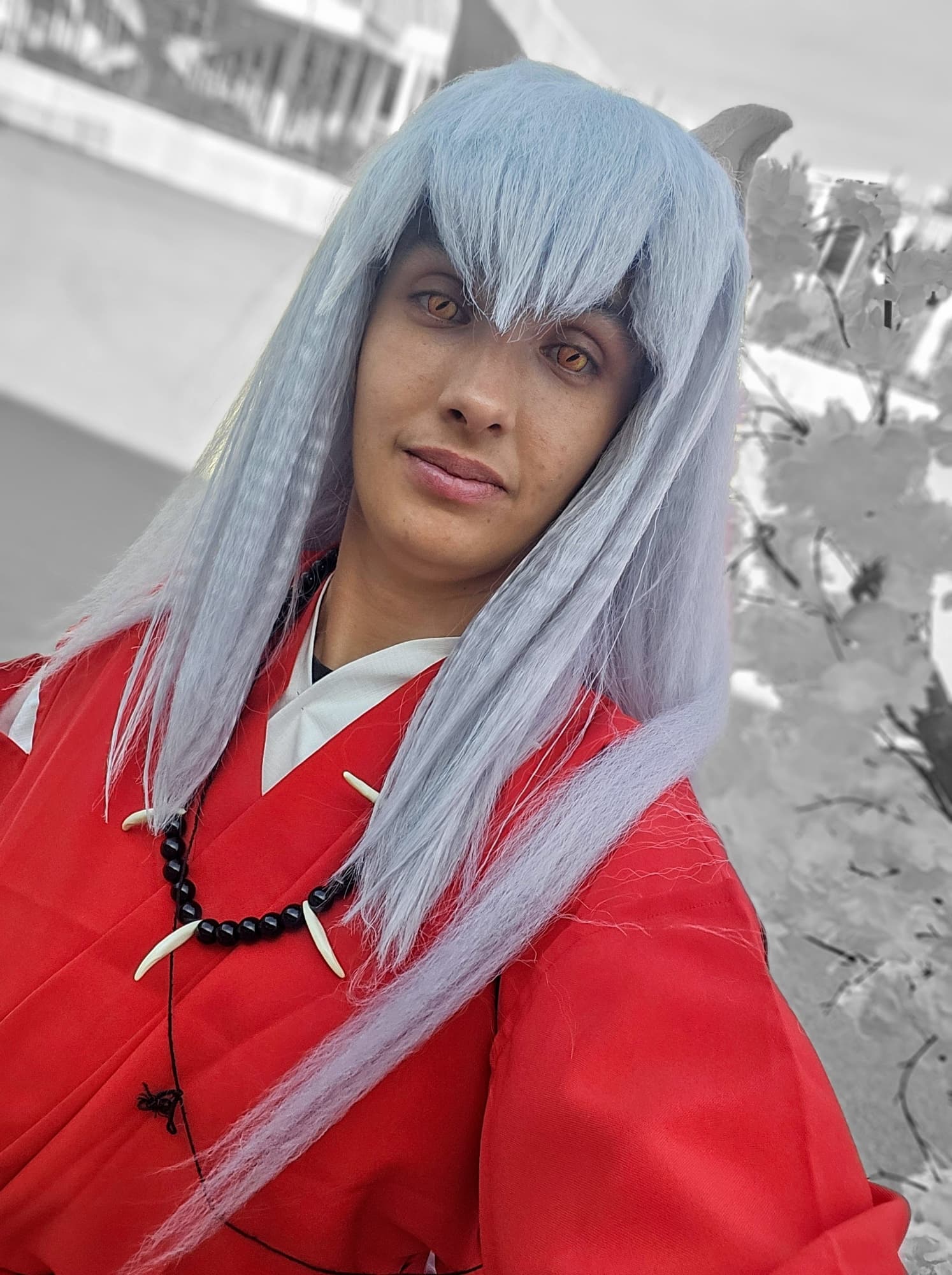Inuyasha  - Photo 28