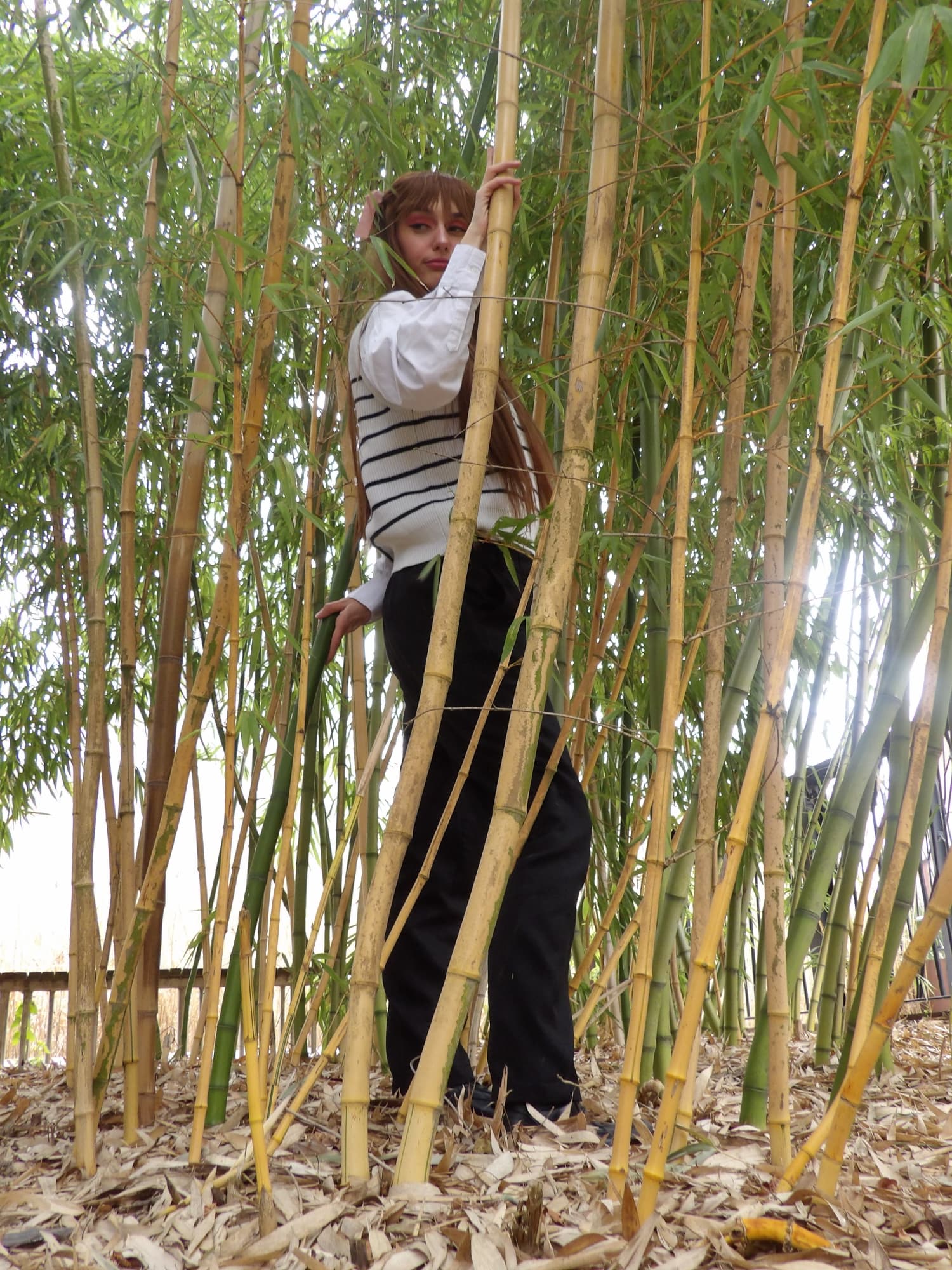 Tohru Honda  - Photo 24
