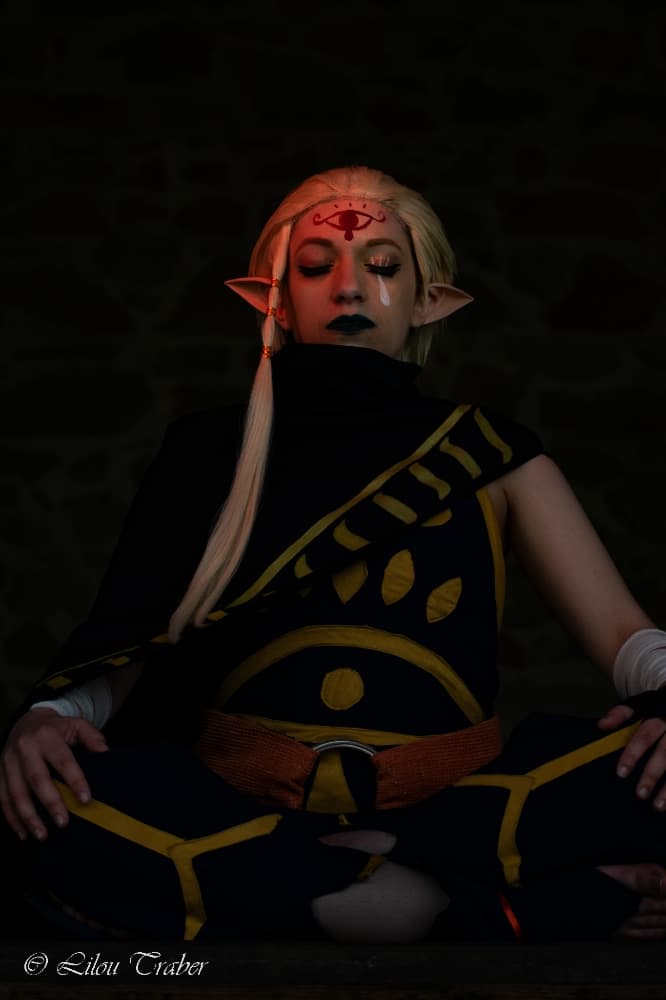 Shoot Skyward Sword - Photo 6